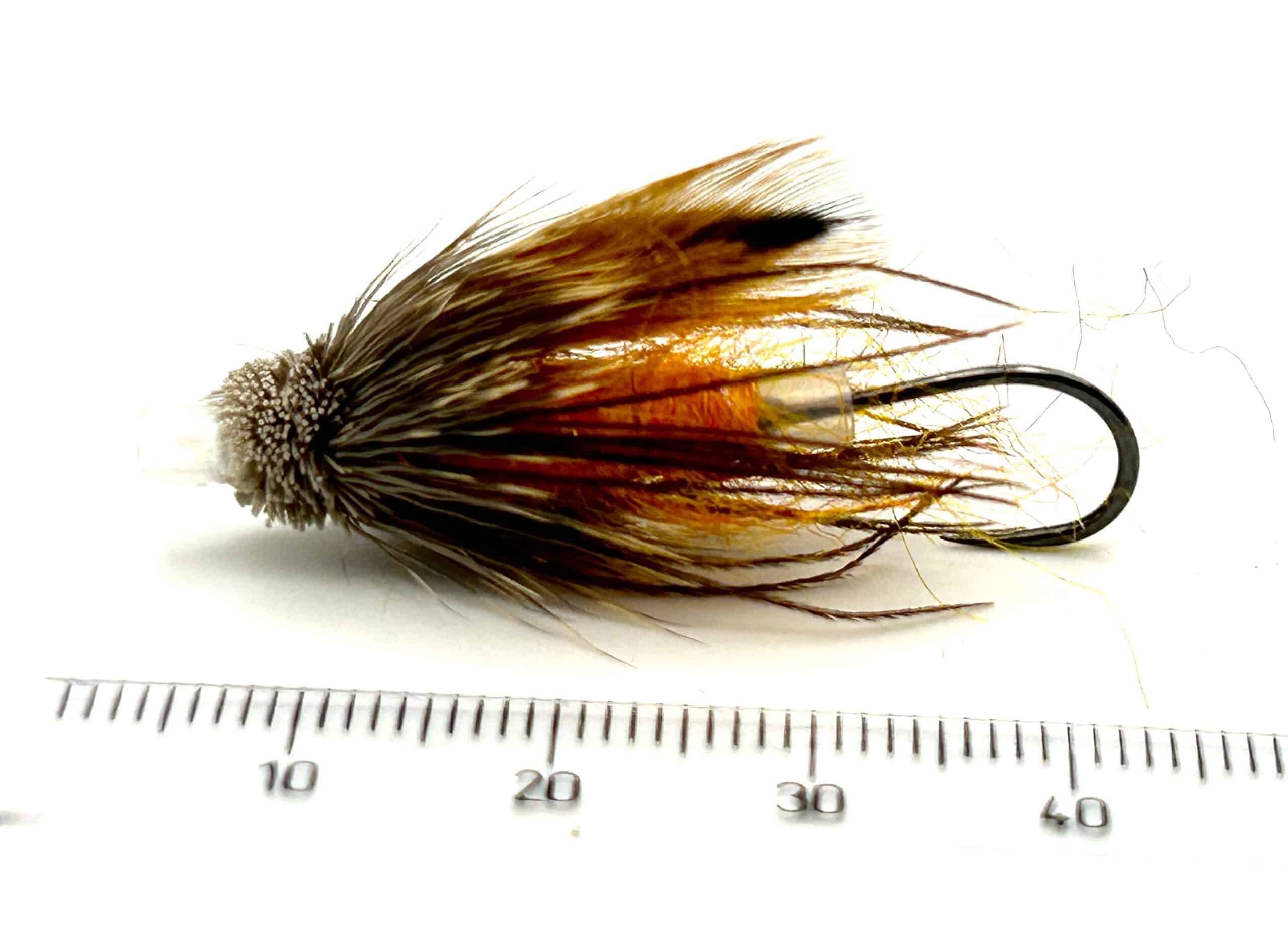 The fall Caddis fly