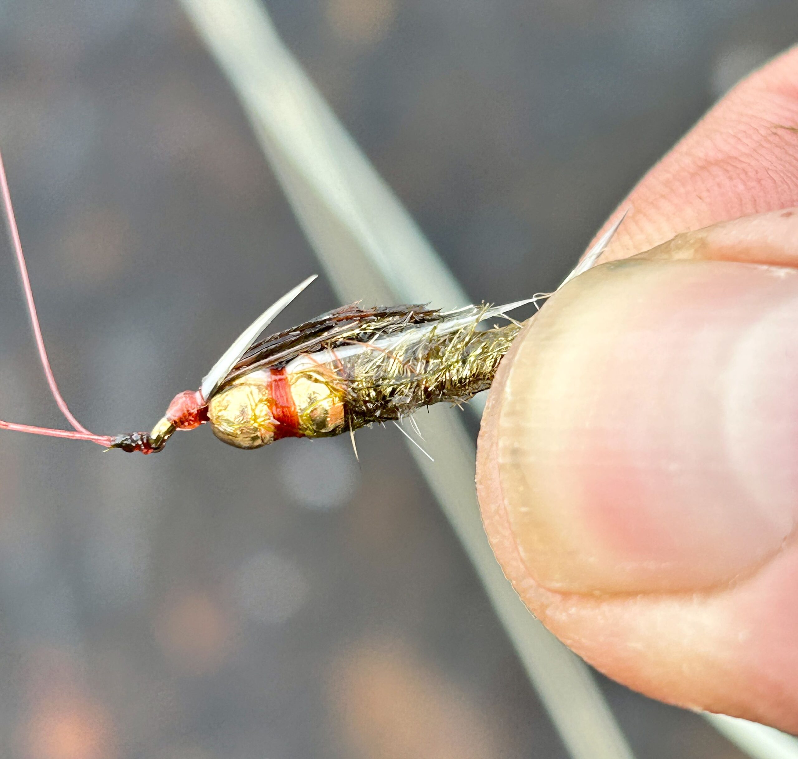 Double Gold Bead Stonefly