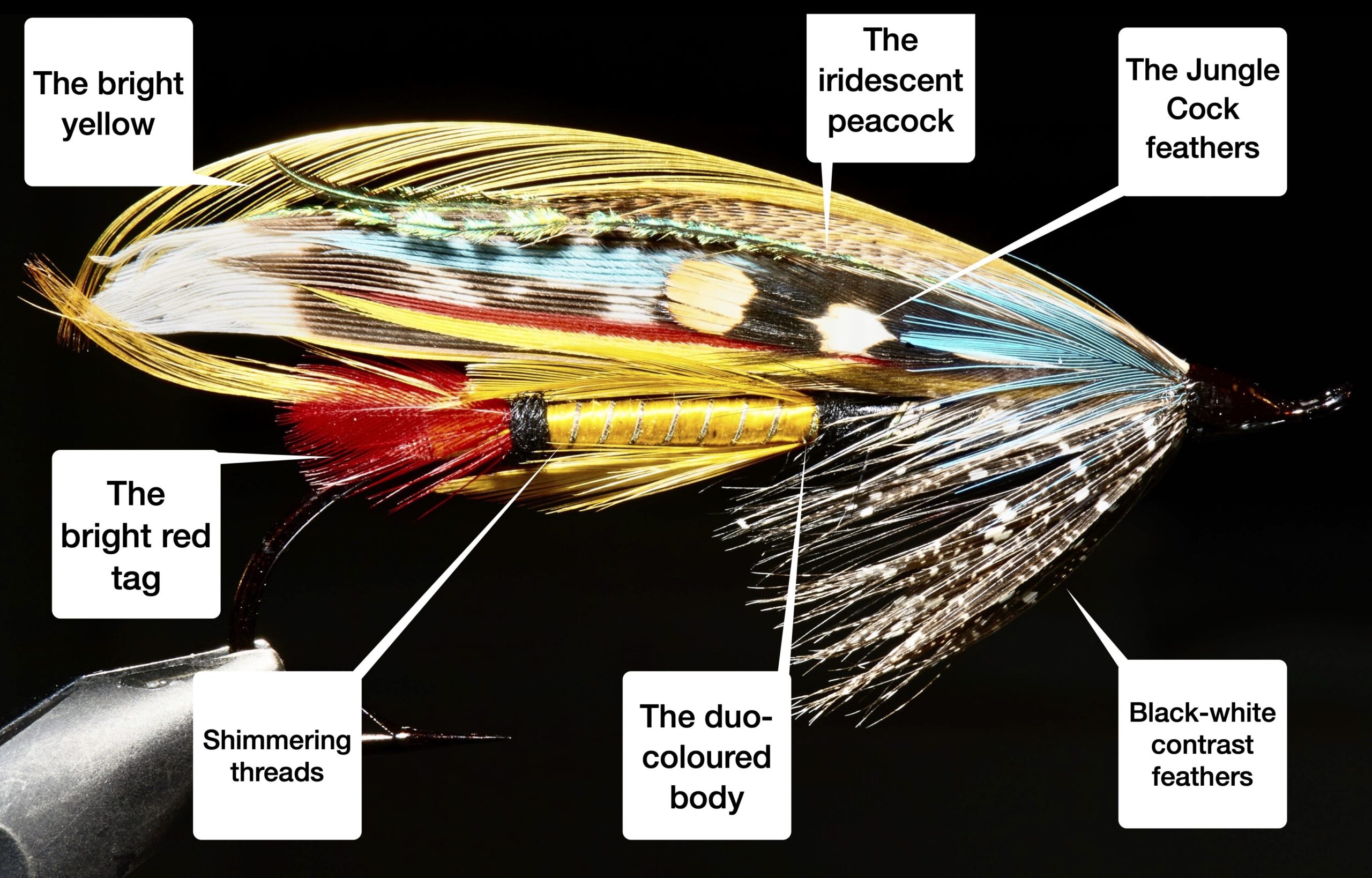 The Mystery of Colours in Salmon Flies