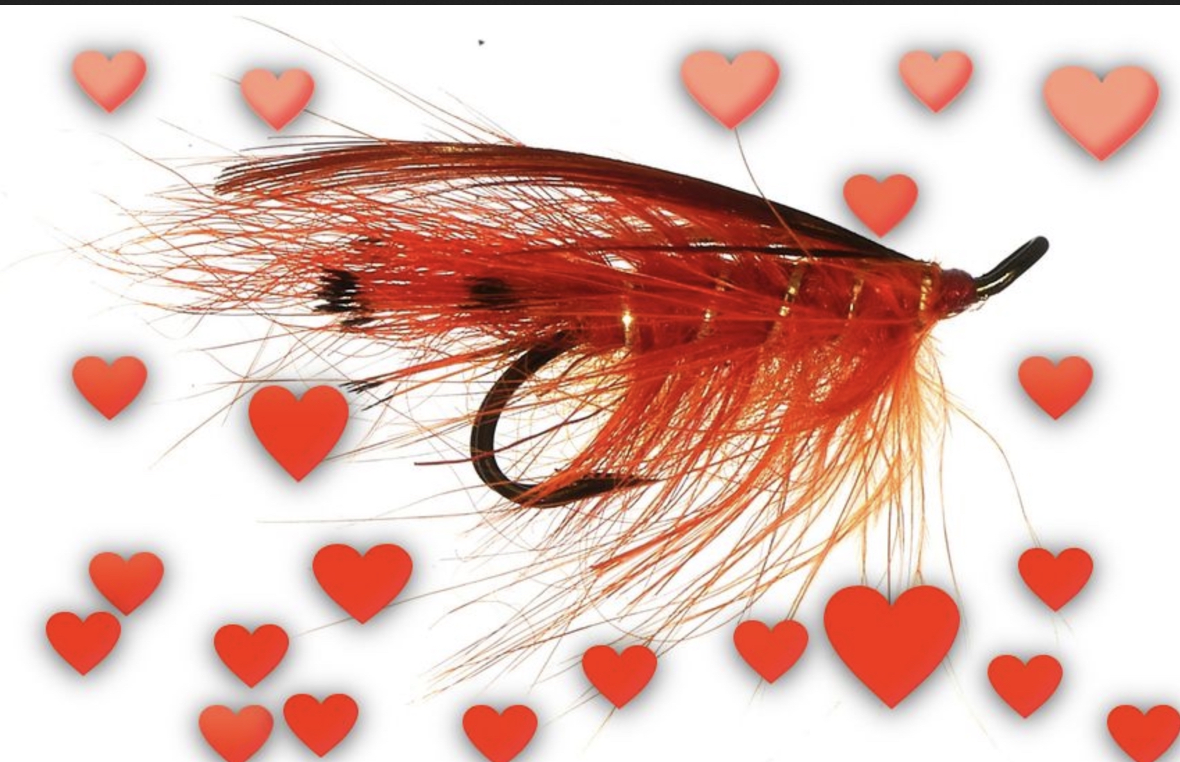 Red salmon flies late in the season