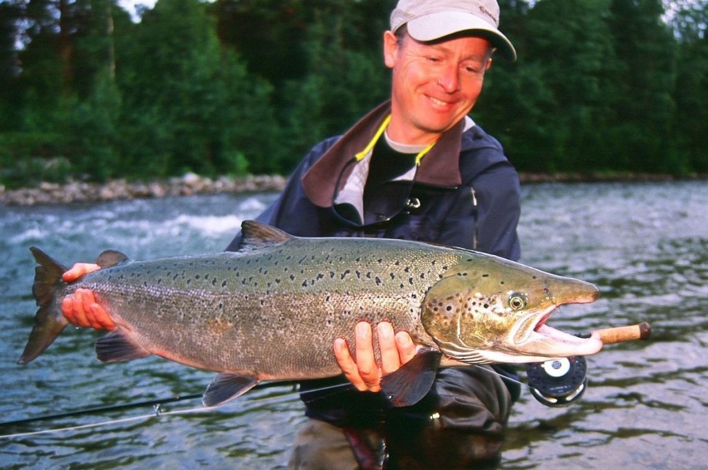 Stale medium size salmon on smal V-FLY | Fishmadman.com